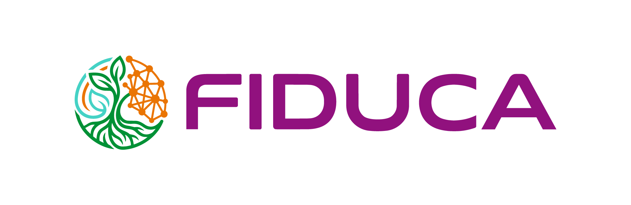 FIDUCA_logo
